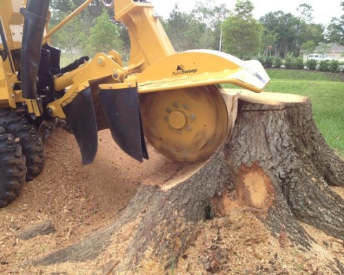 Tree Removal