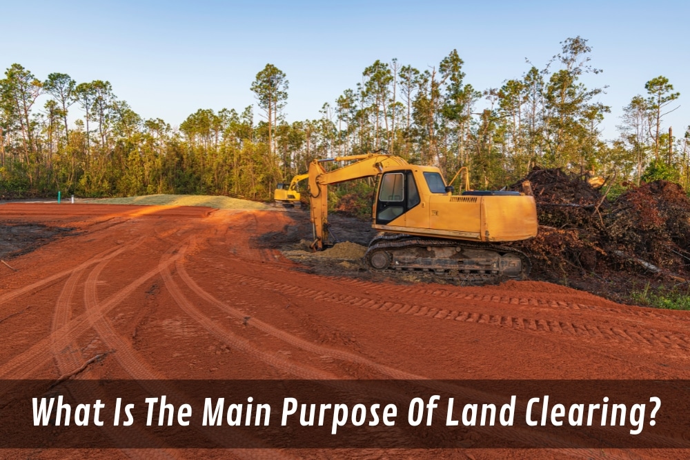 Image presents What Is The Main Purpose Of Land Clearing